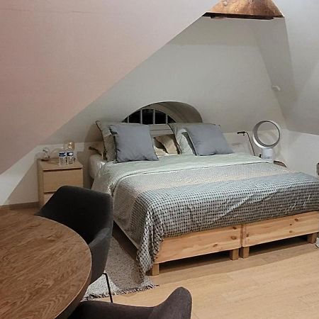 Studio 50M2 Au Bord De L'Eau A Strasbourg Extérieur photo