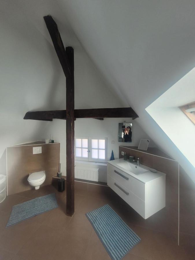 Studio 50M2 Au Bord De L'Eau A Strasbourg Extérieur photo