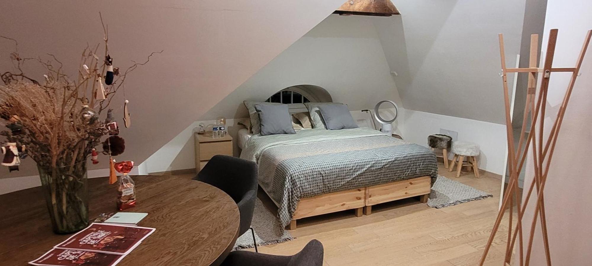 Studio 50M2 Au Bord De L'Eau A Strasbourg Extérieur photo